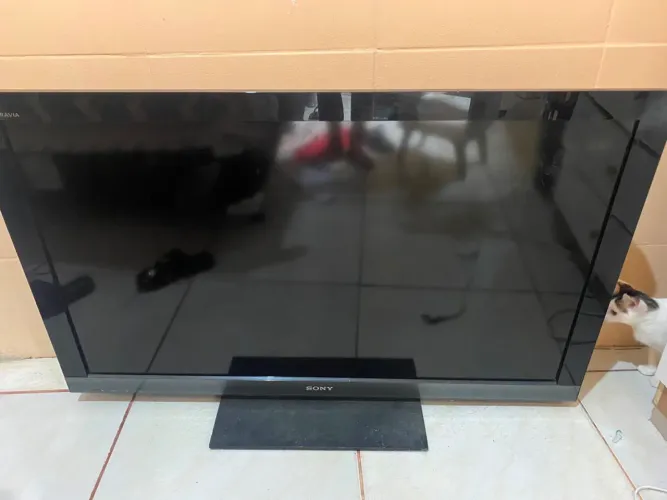 Televisão