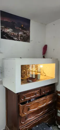Terrario branco 120x60x60 com iluminação para Répteis e Anfíbios, em ótimo estado