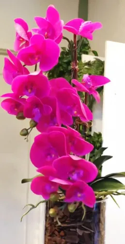 Flores permanentes