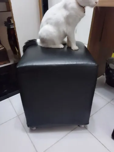 Vendo puf em corvino