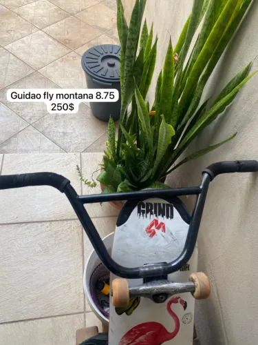 Guidao fly montana