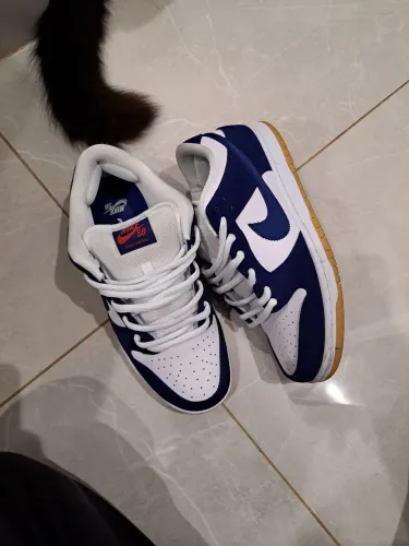 dunk los angeles dodgers 