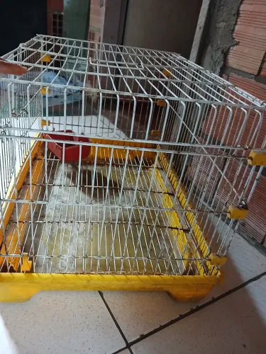 Gaiola para roedores