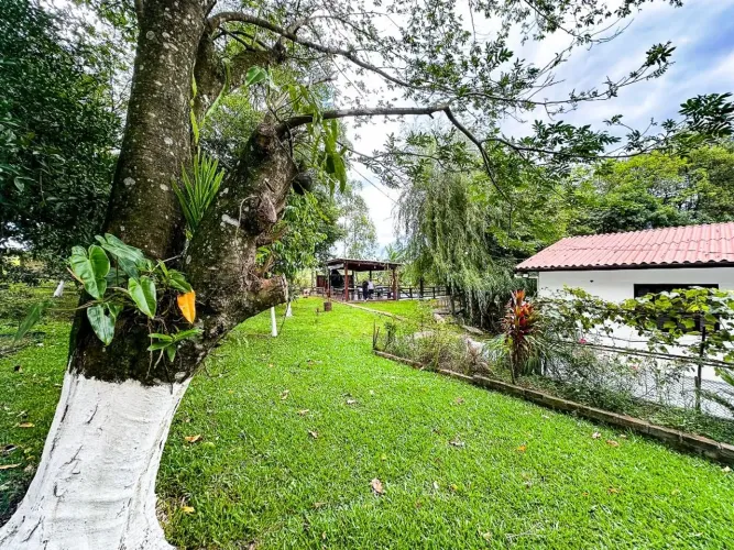 Chácara com 5 dormitórios à venda, 17000 m² por R$ 890.000,00 - Sossego - Portão/RS