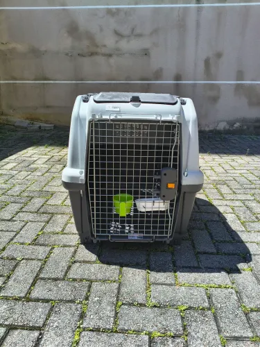 Caixa de Transporte para Cães Apolo Plus 5 IATA