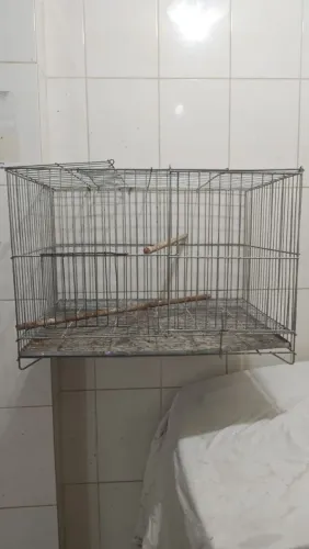 Gaiola de passarinho