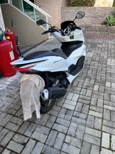 Moto boa
