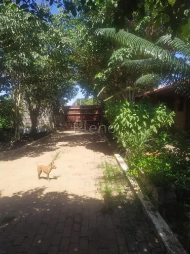 Chácara à venda em Cosmópolis, Parque Independência, com 2 quartos, com 1000 m²