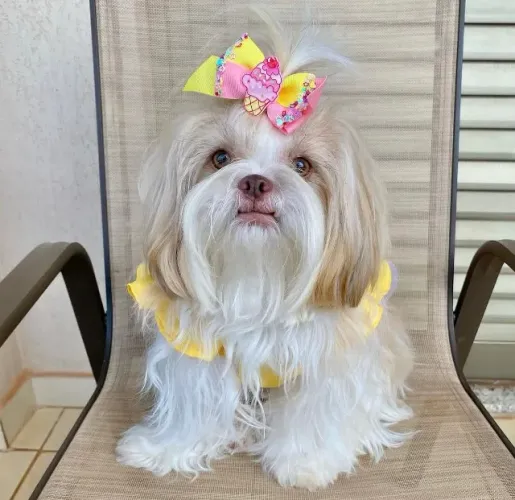 Um pacotinho de amor pronto para alegrar seus dias.