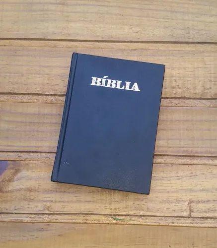 Bíblia Sagrada (antiga)