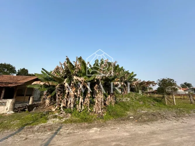 Lote Amplo com 525m2 á Venda na Região Central da Praia do Ervino em São Francisco do Sul 
