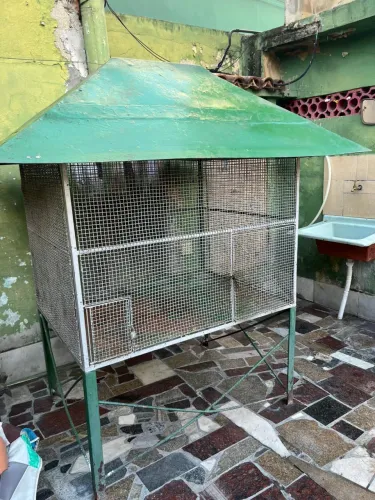 Viveiro para pássaro