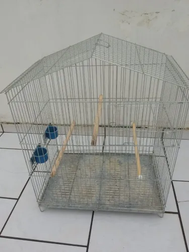 Gaiola para calopsita semi-nova