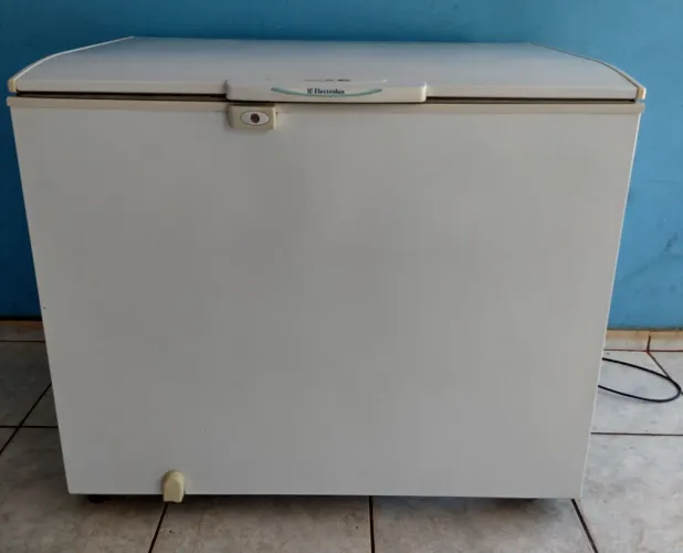 Freezer Electrolux 300 litros w110
