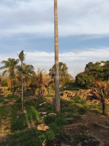 Terreno Plano de 1.590 m² no Condomínio Long Island em Jaguariúna  Natureza, Tranquilidade