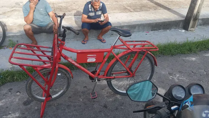 Bicicleta cargueira 