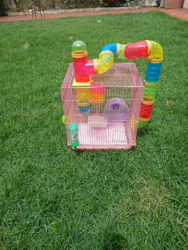 Gaiola Completa para Hamster com Tubos Coloridos e Acessório