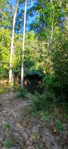 Chácara pacelado