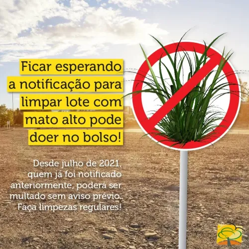 Limpezas de lotes e fazendas em Goiânia e Região