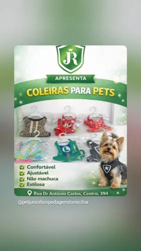 Lindas coleiras peitorais 