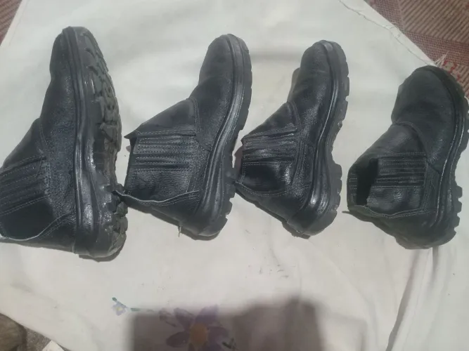 Bota