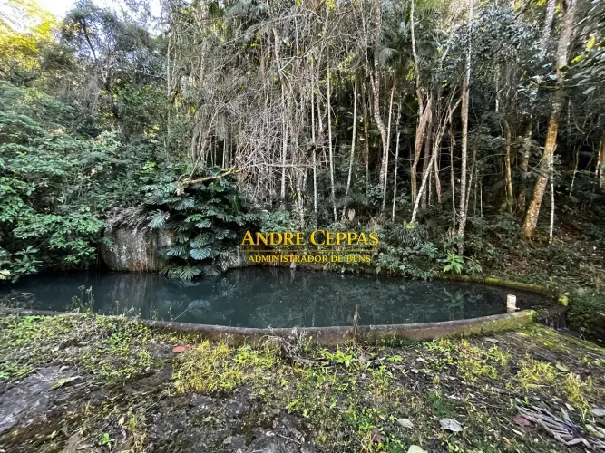 Fazenda de 27,70 Hectares à Venda em Salinas Campo do Coelho | Nova Friburgo/RJ