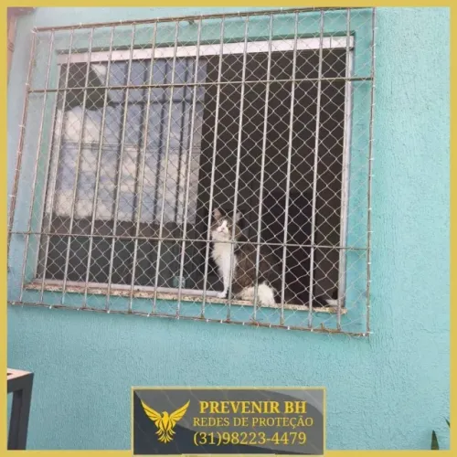 Tela para gatos