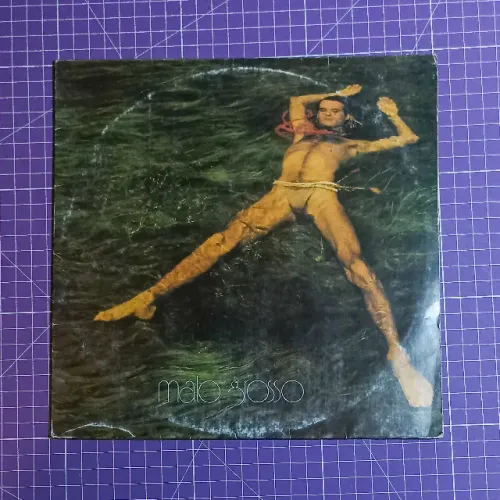 ney matogrosso - matogrosso - 1982 + encarte