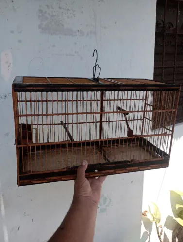 Vender gaiolas 