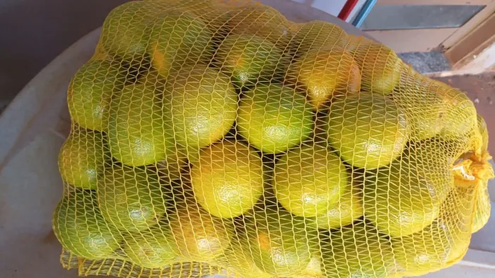 Saco de laranja
