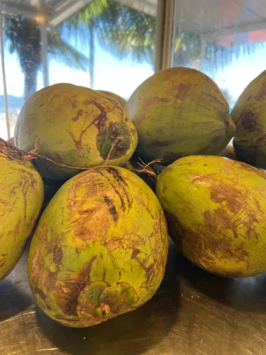 Cortador de coco