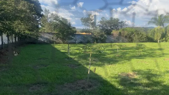 Excelente Chácara 20 mil metros com produção de frutas Próxima a Anápolis e Goiânia, !!