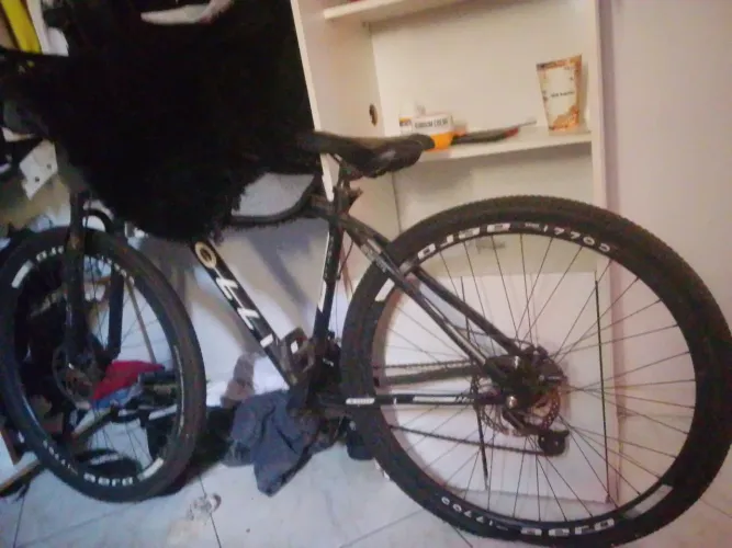 Bicicleta