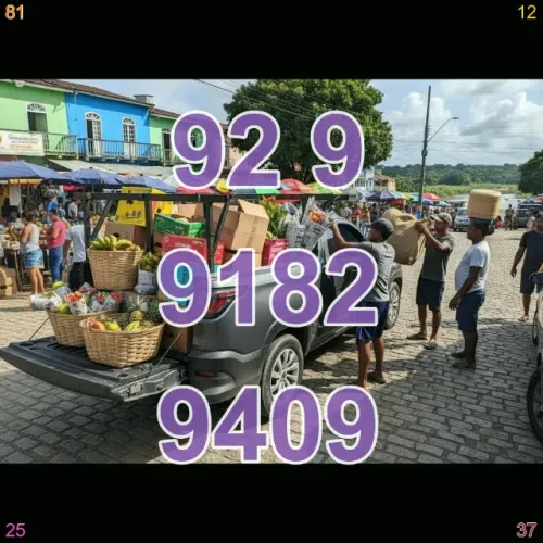 frete para mudanças com rapidez e qualidade na região de Manaus