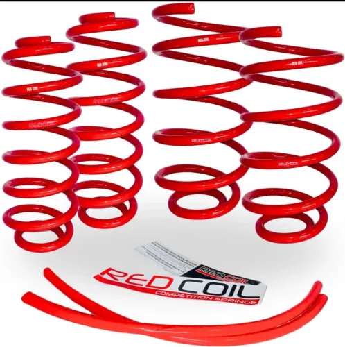 Molas esportiva para Fusion Sel 2012