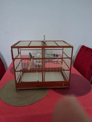 Voador de 40 cm