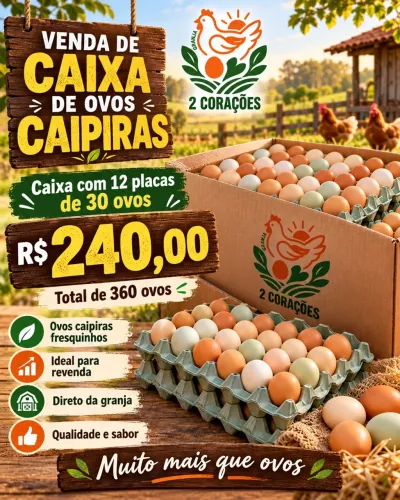 CAIXA DE OVO CAIPIRA 12 placas de 30
