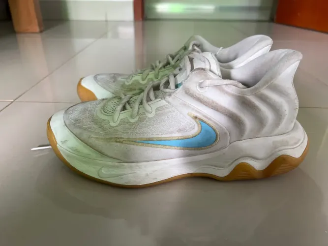 Tênis Nike giannis immortality
