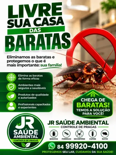 Dedetização