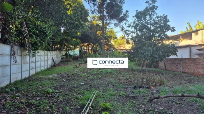 Terreno, 1.853 m², aluguel por R$ 20.000/mês - Avenida Brigadeiro Faria Lima - Jardim Coca