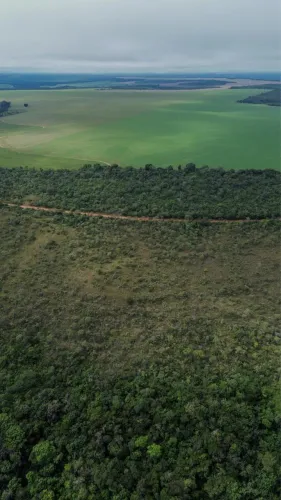 Fazenda com 17,5 Alqueires escriturada Luziânia Goiás