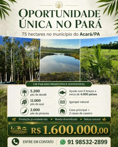 FAZENDA DENDÊ