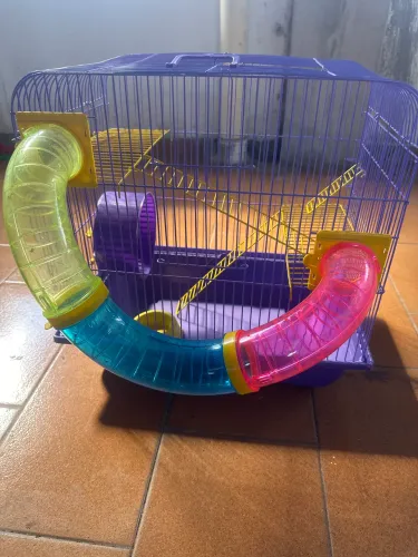 Caixa pra Hamster grande