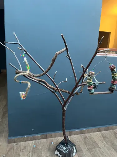 Playstand / Puleiro para agapornis, calopsita, papagaio e periquitos