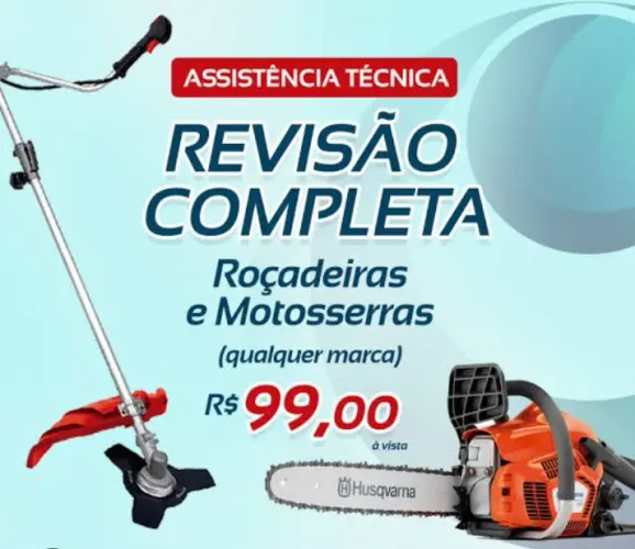 Motores a gasolina