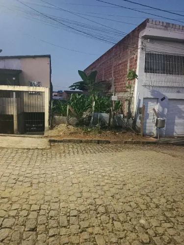 Terreno frexeiras 