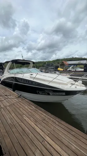 Lancha Bayliner 310 ano 2017 