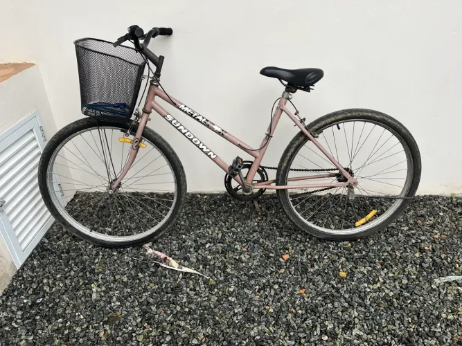 Vendo bicicleta feminina 