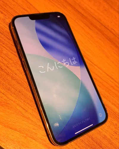 iPhone 13 Pro- 256gb Branco