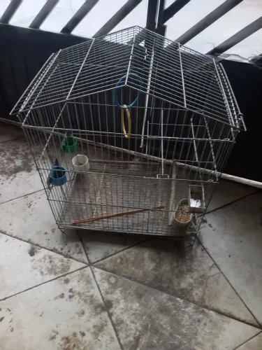 Venda gaiola para calopsita